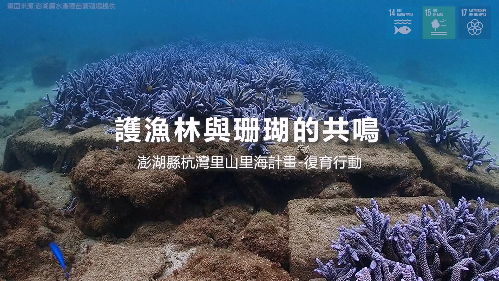 2024_緯穎科技_里山里海願景計畫-菊島海岸的綠與藍.mp4_20250804_101746.578