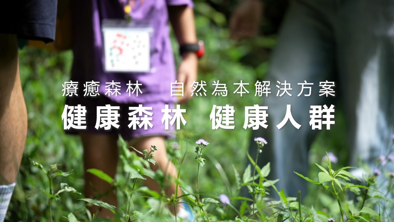 小步舞曲-森林的邀請