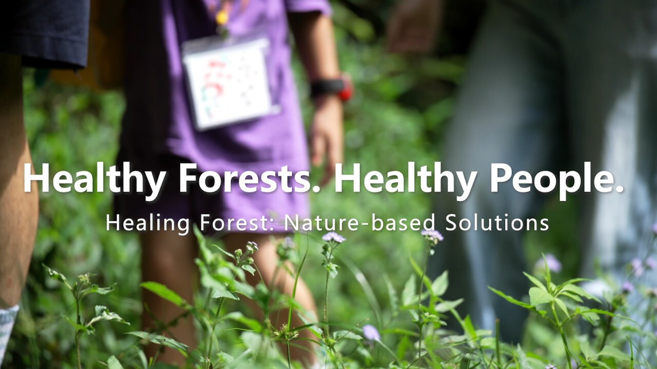 Forest EN